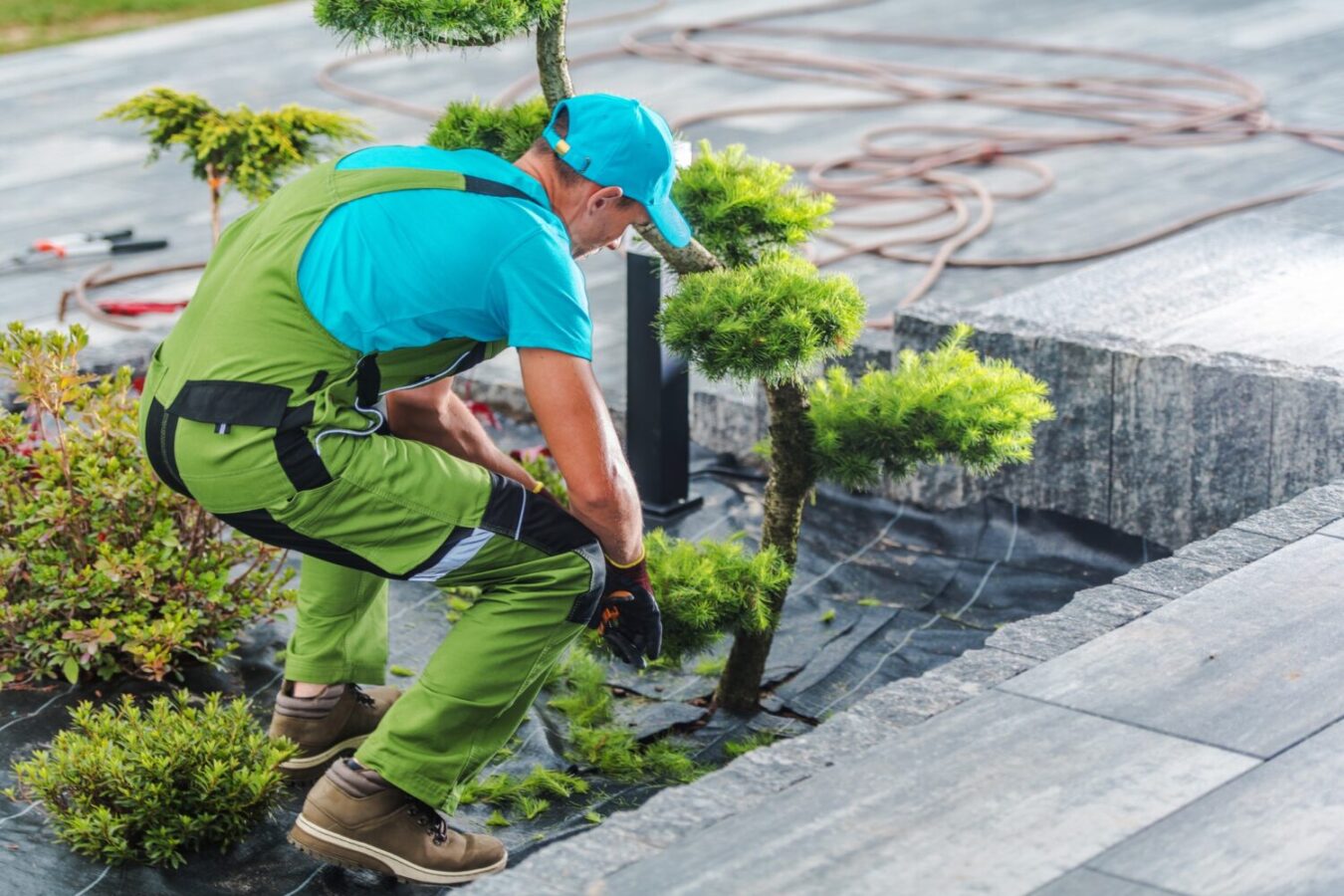 Garden Landscape Design Maintenance